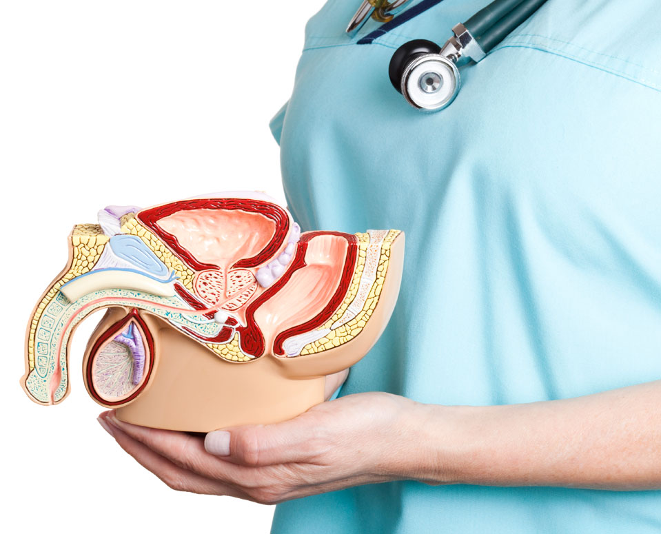 Urolog w Bytomiu